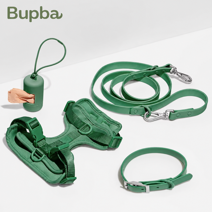 The Main Character Walk Kit in Forest Green