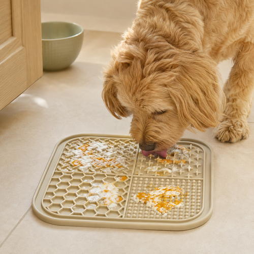 Dog using the beige four-zone Bupba lick mat at home